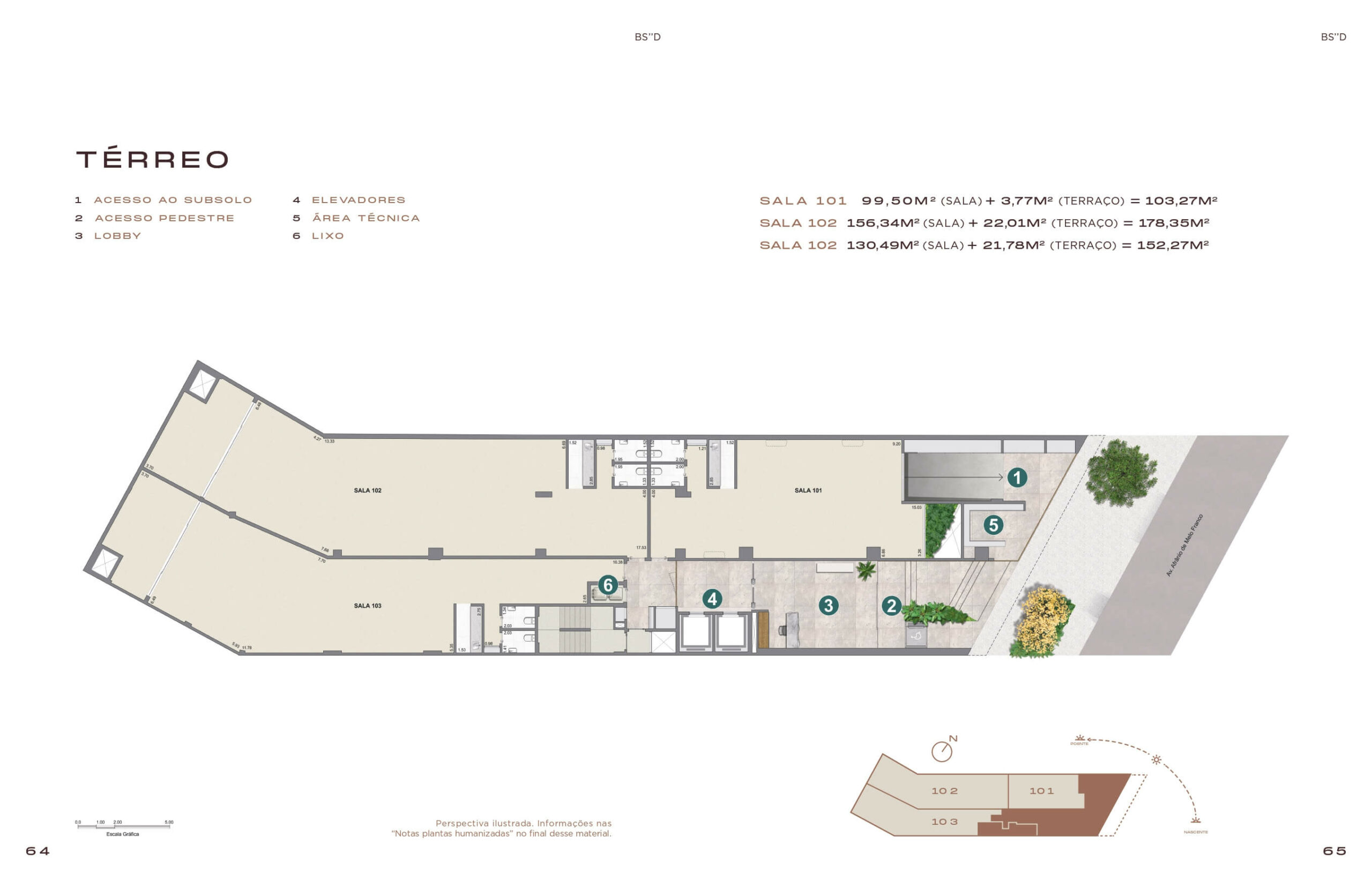 Planta 5