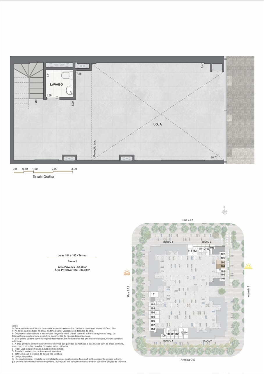 Planta 8