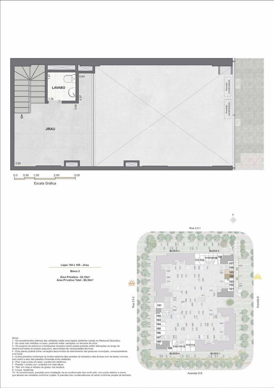 Planta 9