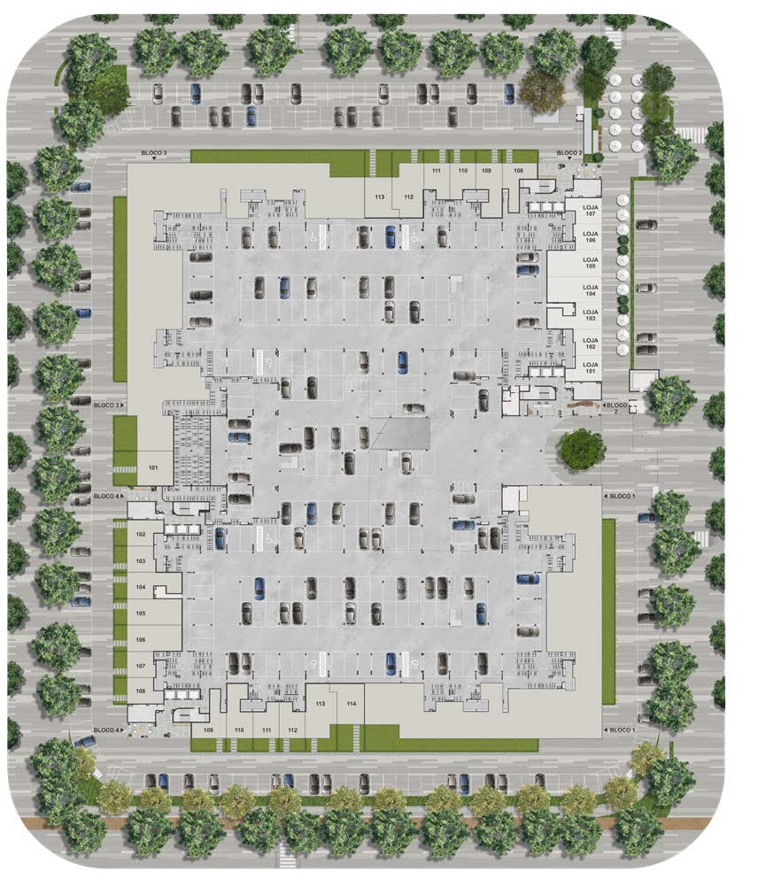 Planta 10