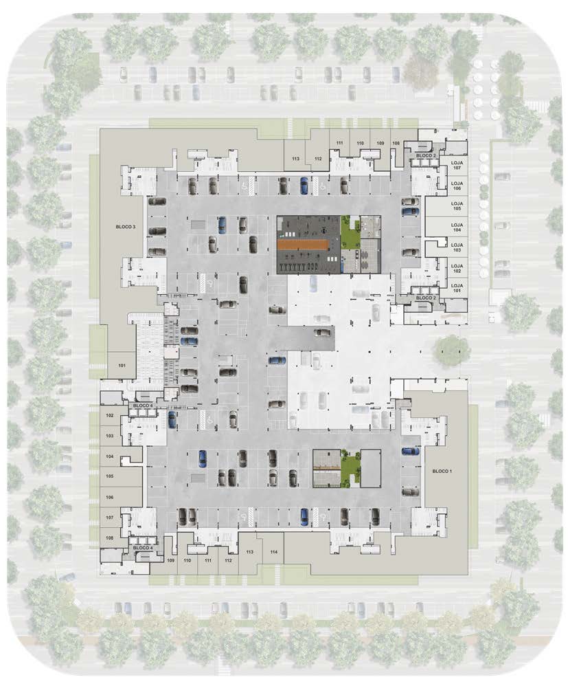 Planta 11