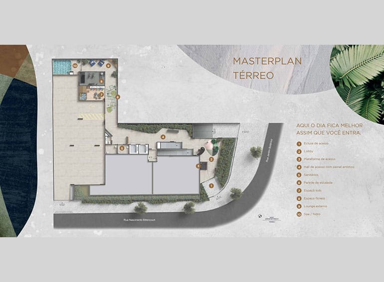 Planta 6