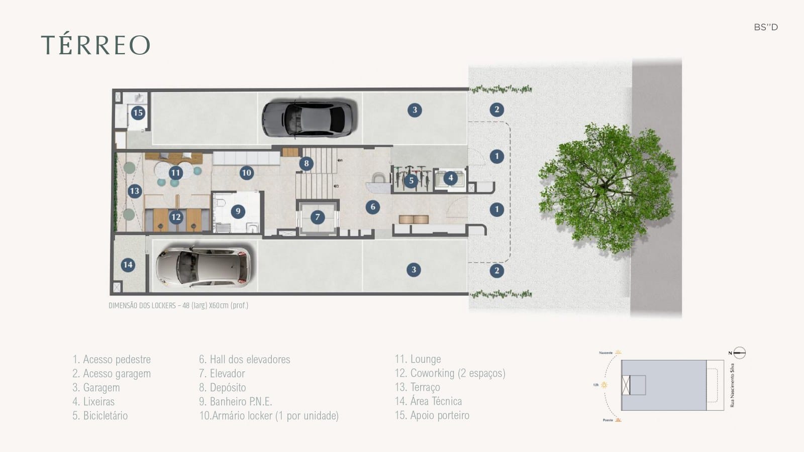 Planta 9