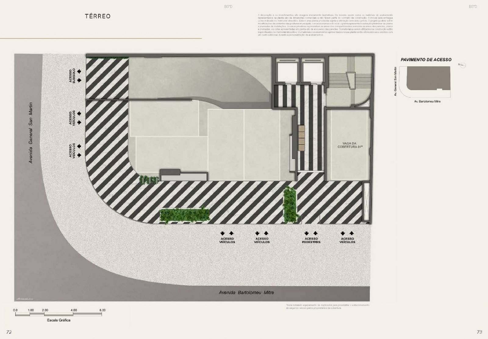 Planta 8