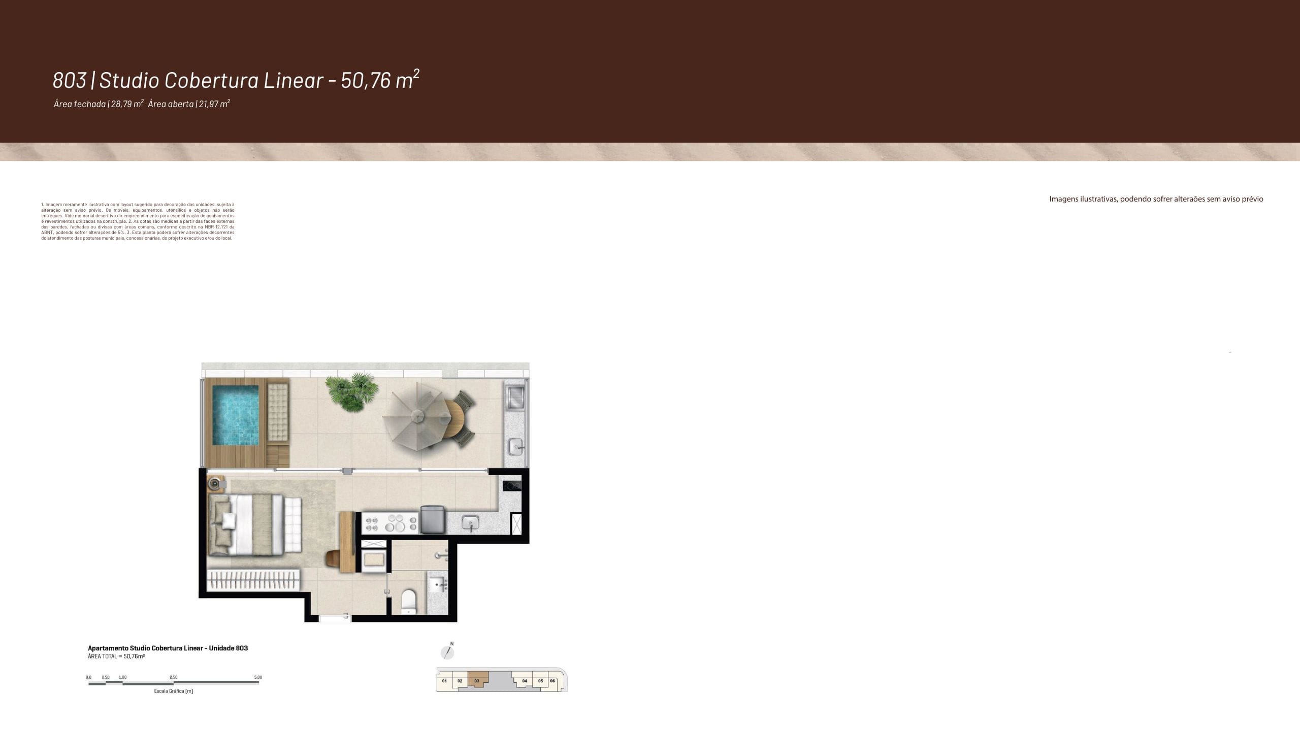 Planta 8