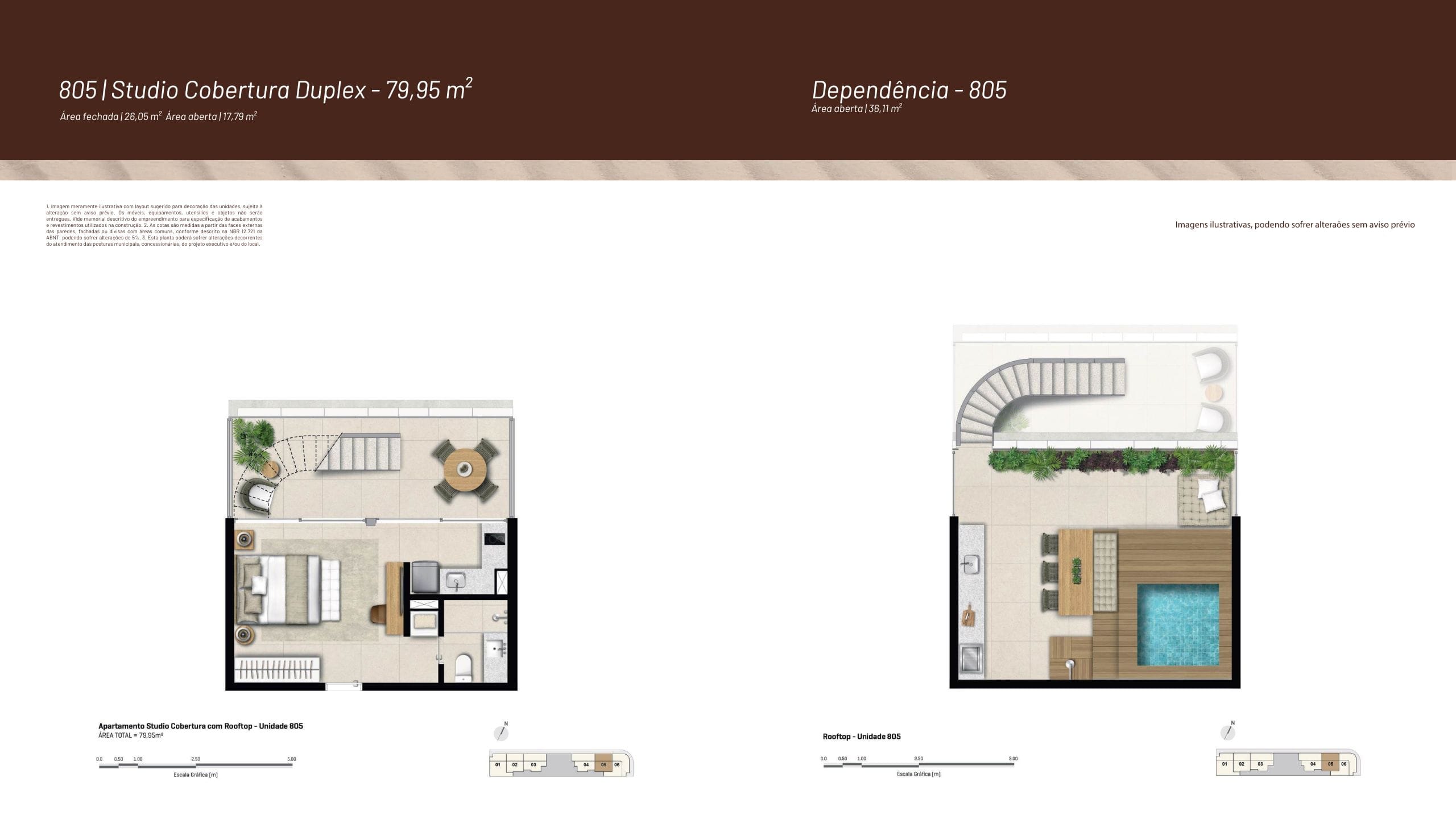 Planta 6