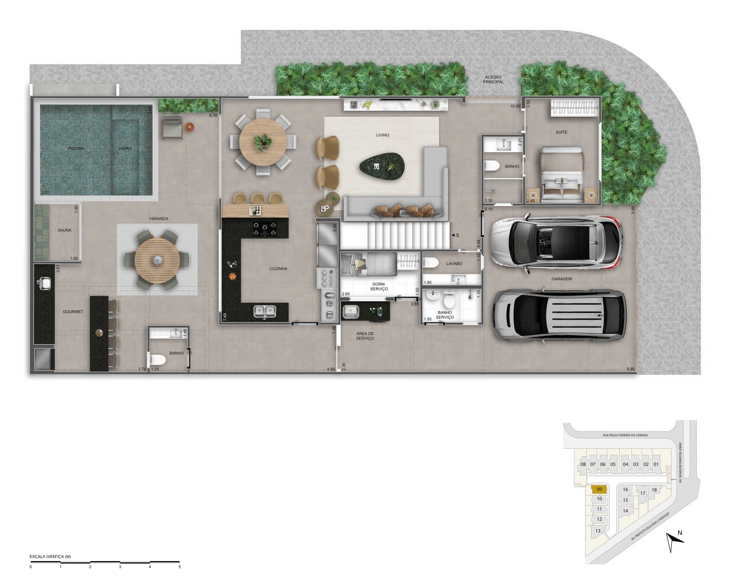 Planta 31