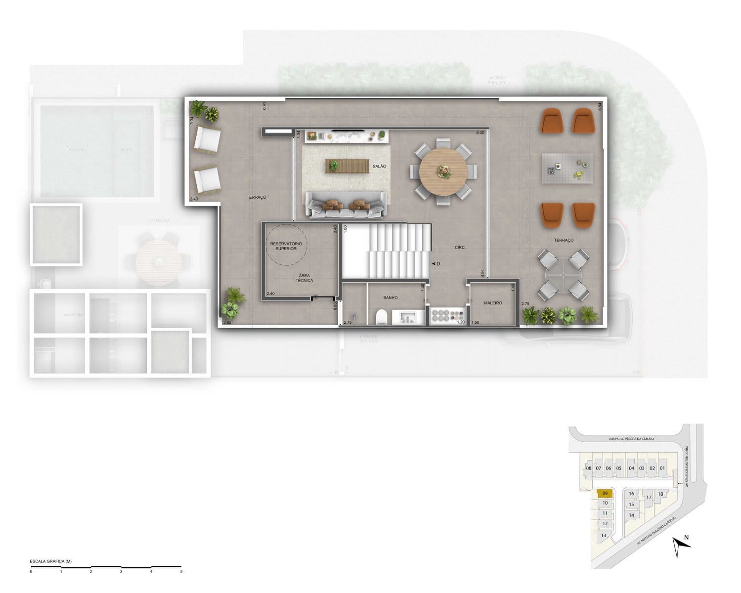 Planta 33