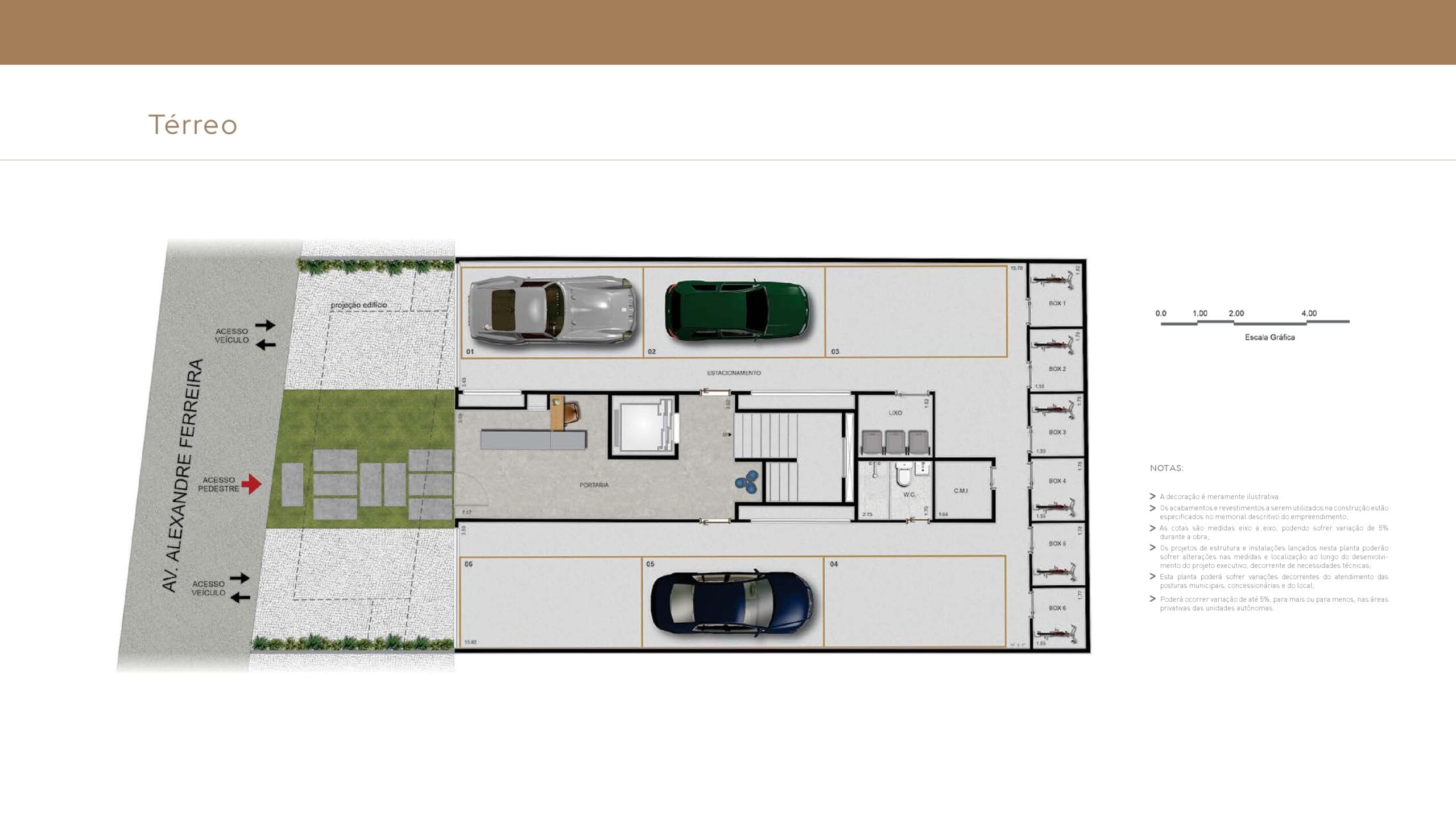 Planta 11