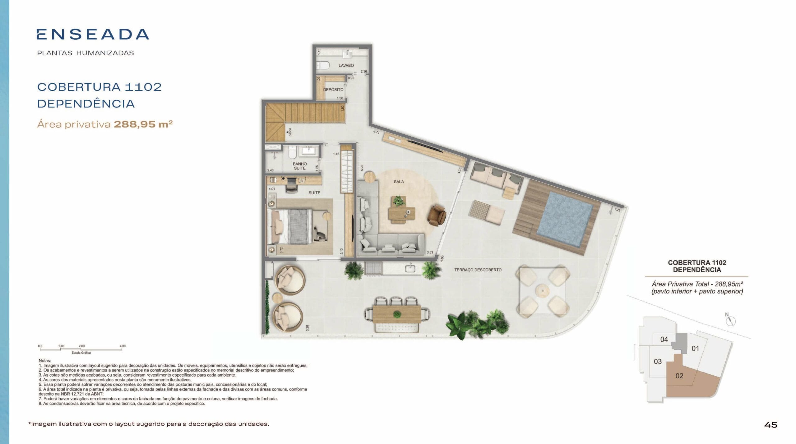 Planta 8
