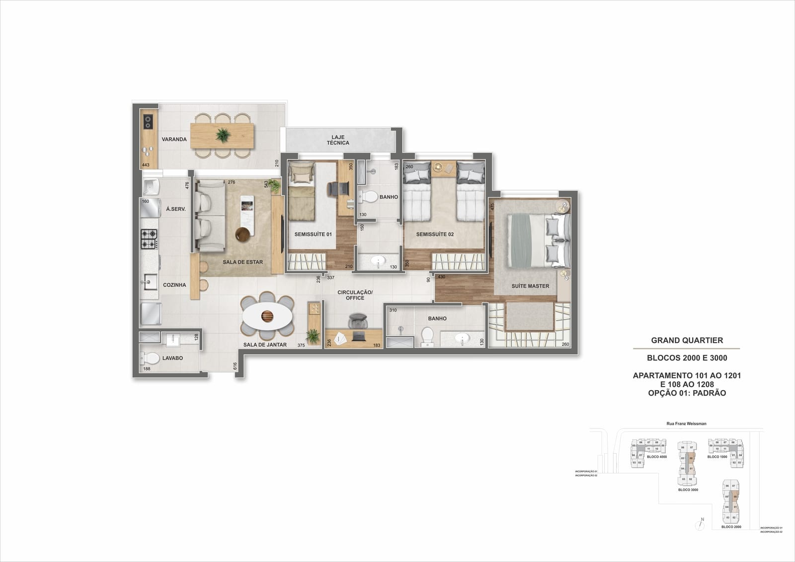 Planta 11