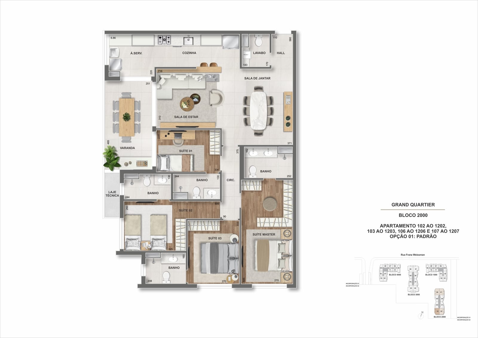 Planta 12