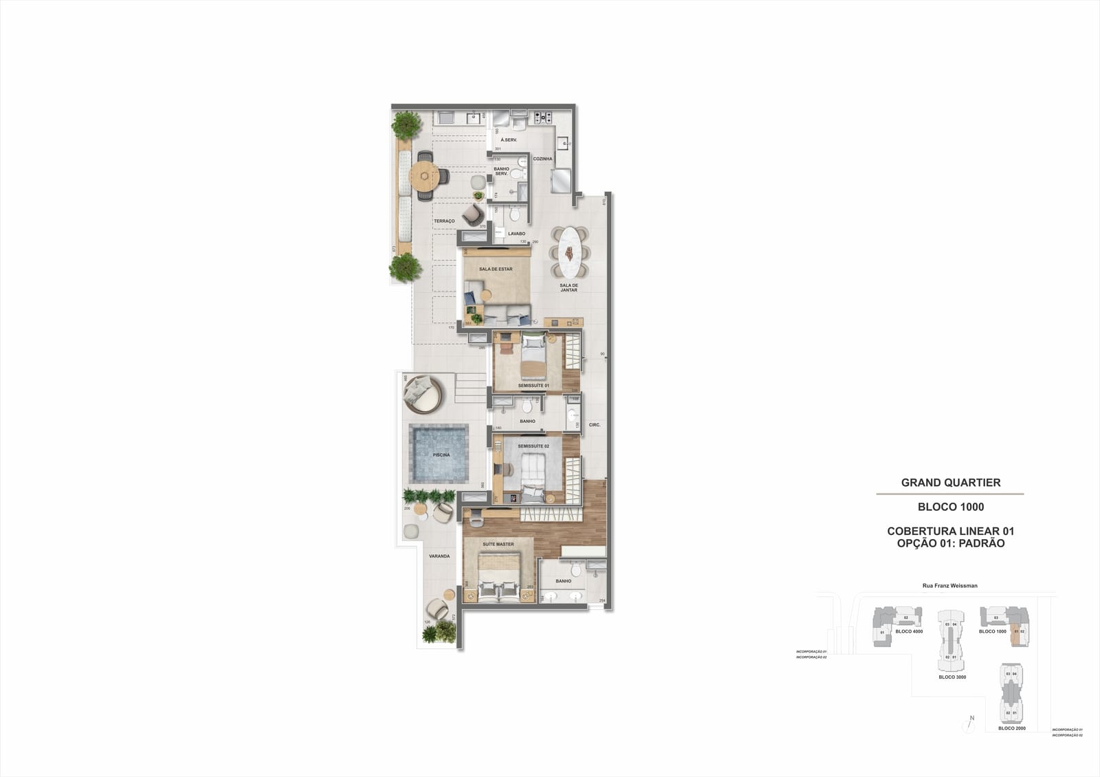 Planta 17