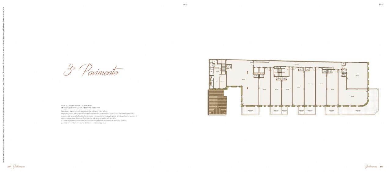 Planta 10