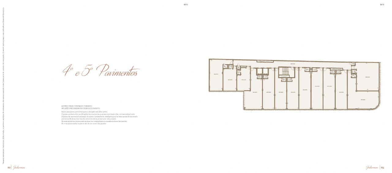 Planta 11