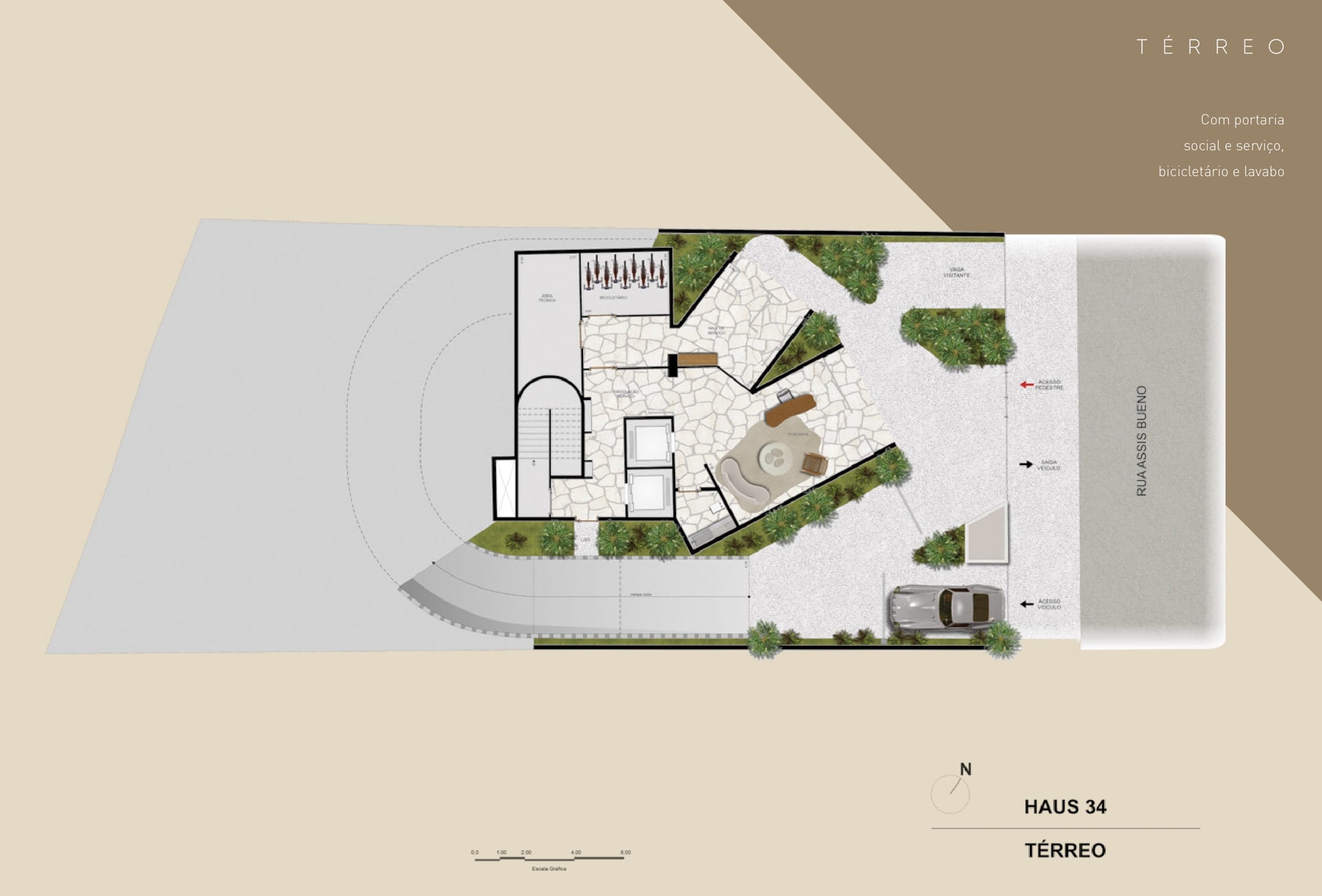 Planta 7