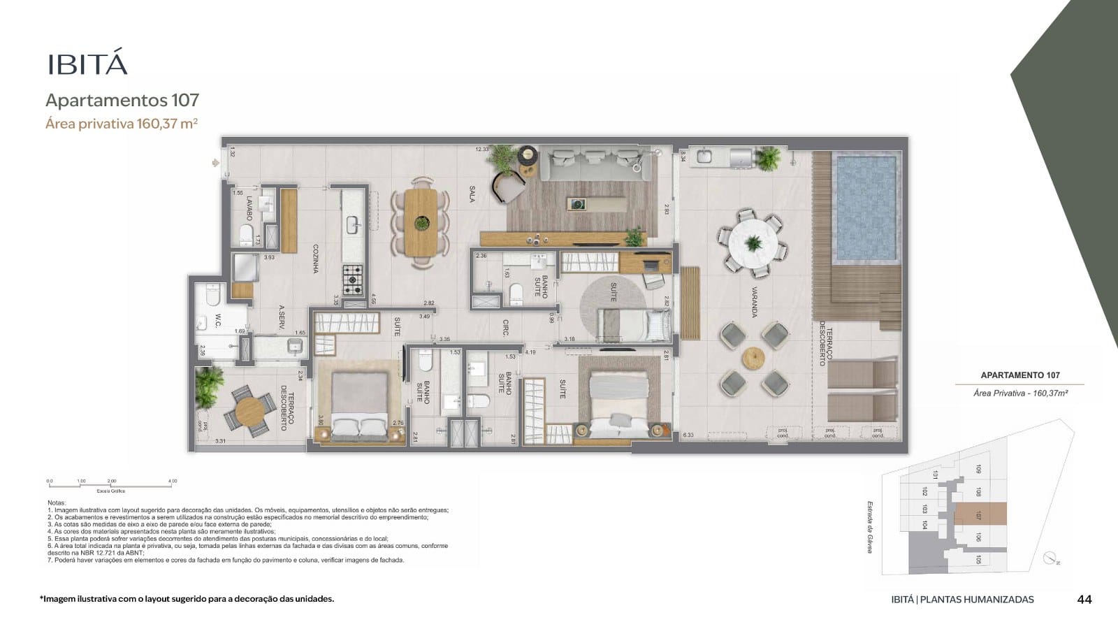 Planta 7