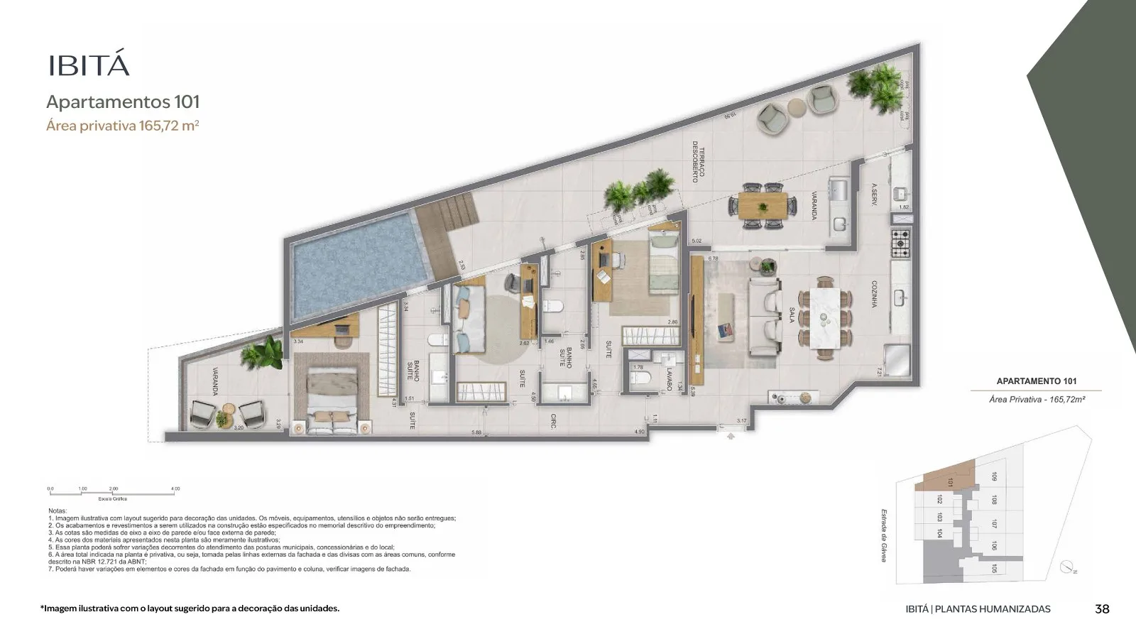Planta 17