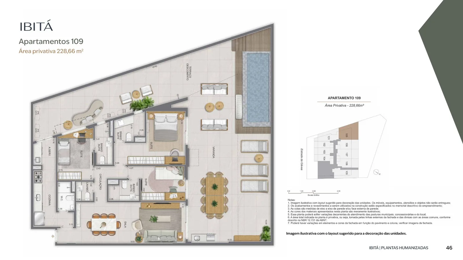 Planta 24