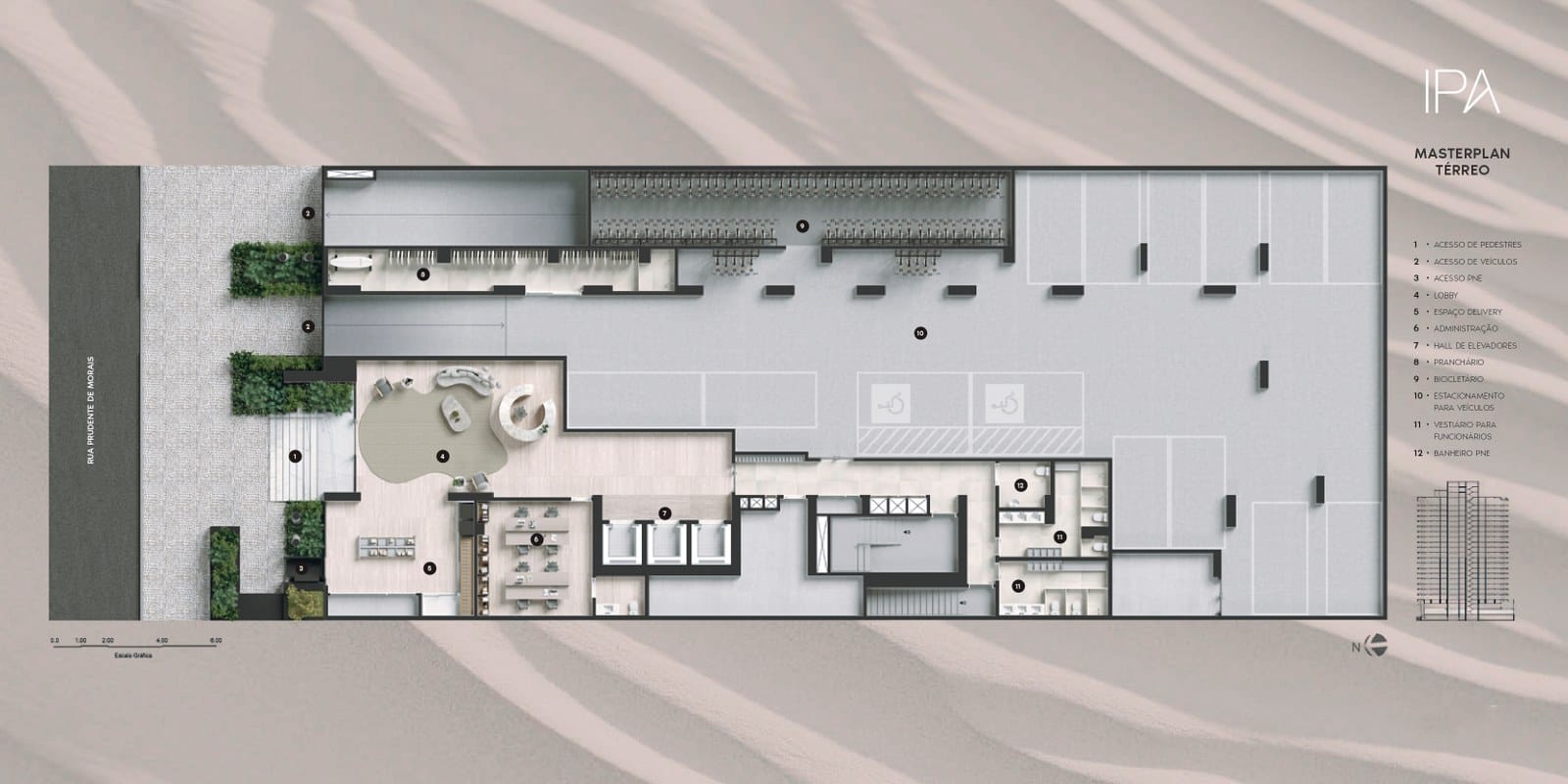 Planta 4