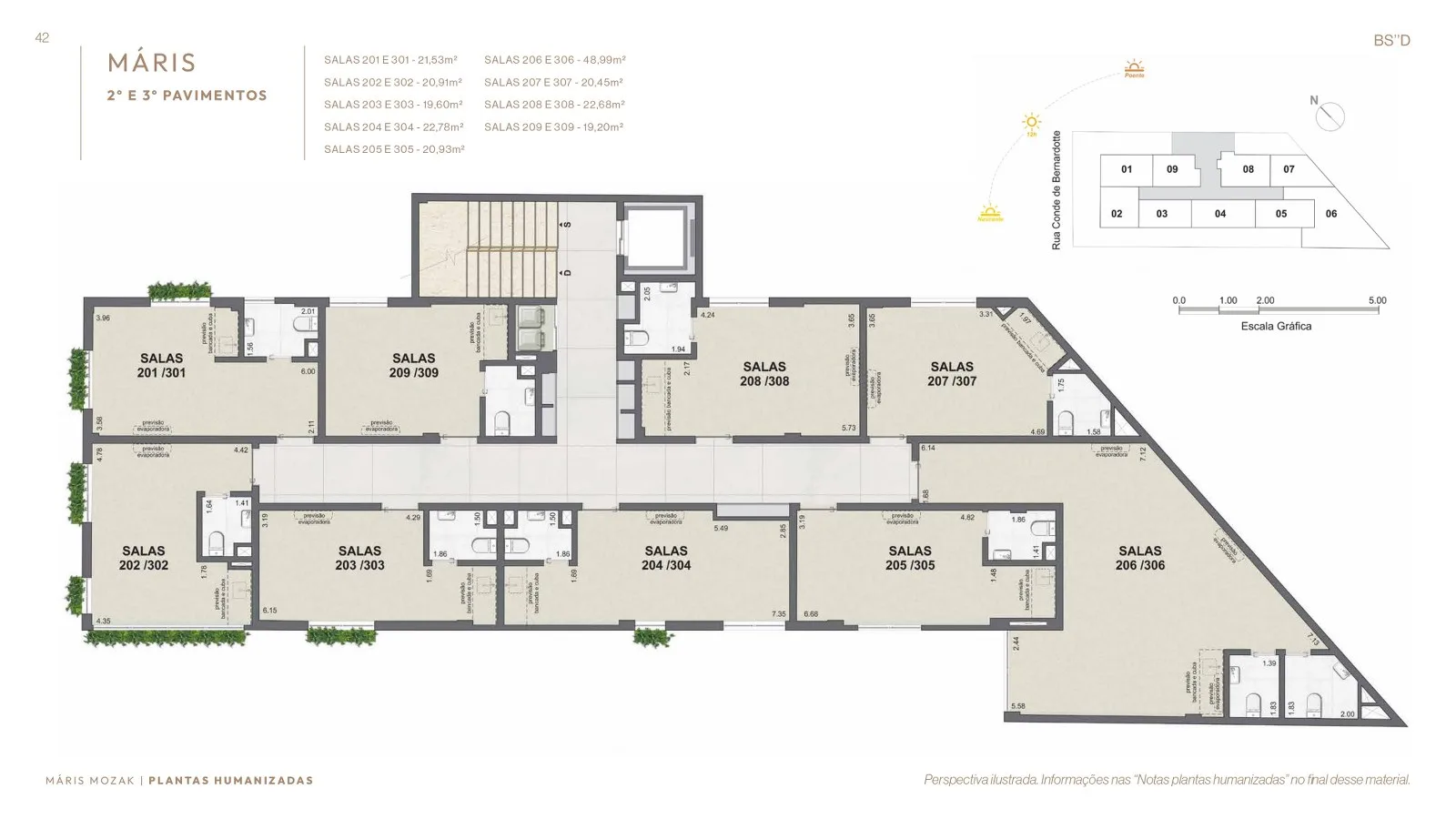 Planta 9