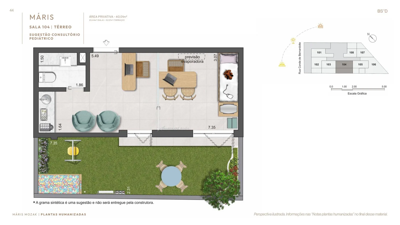 Planta 11