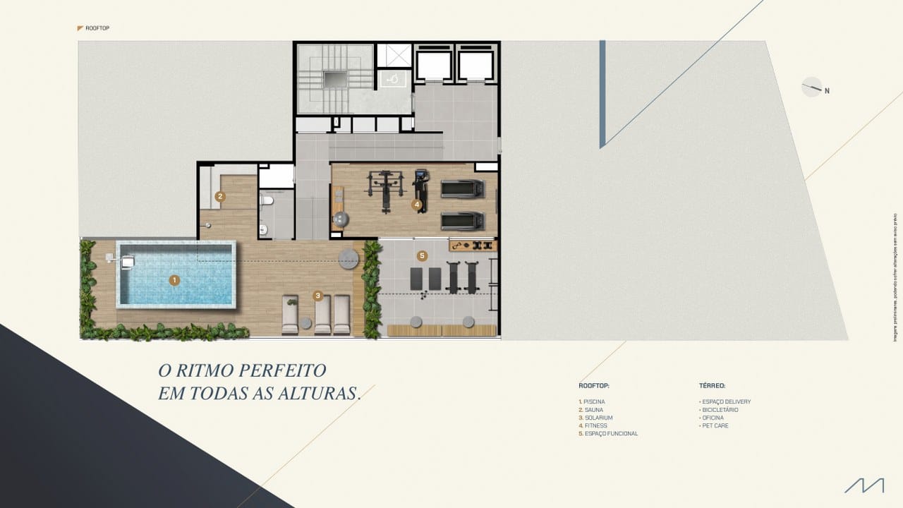 Planta 11