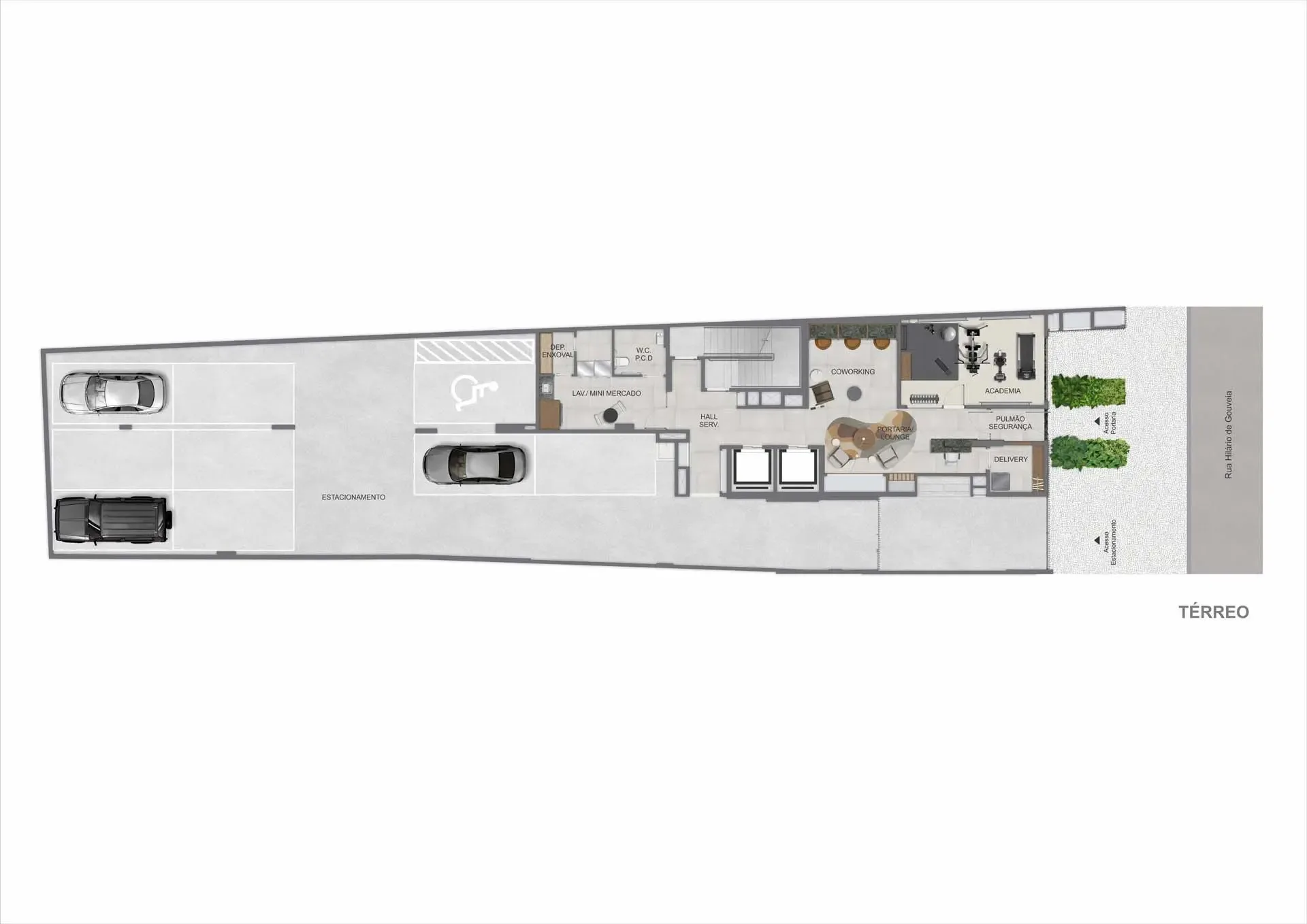 Planta 24