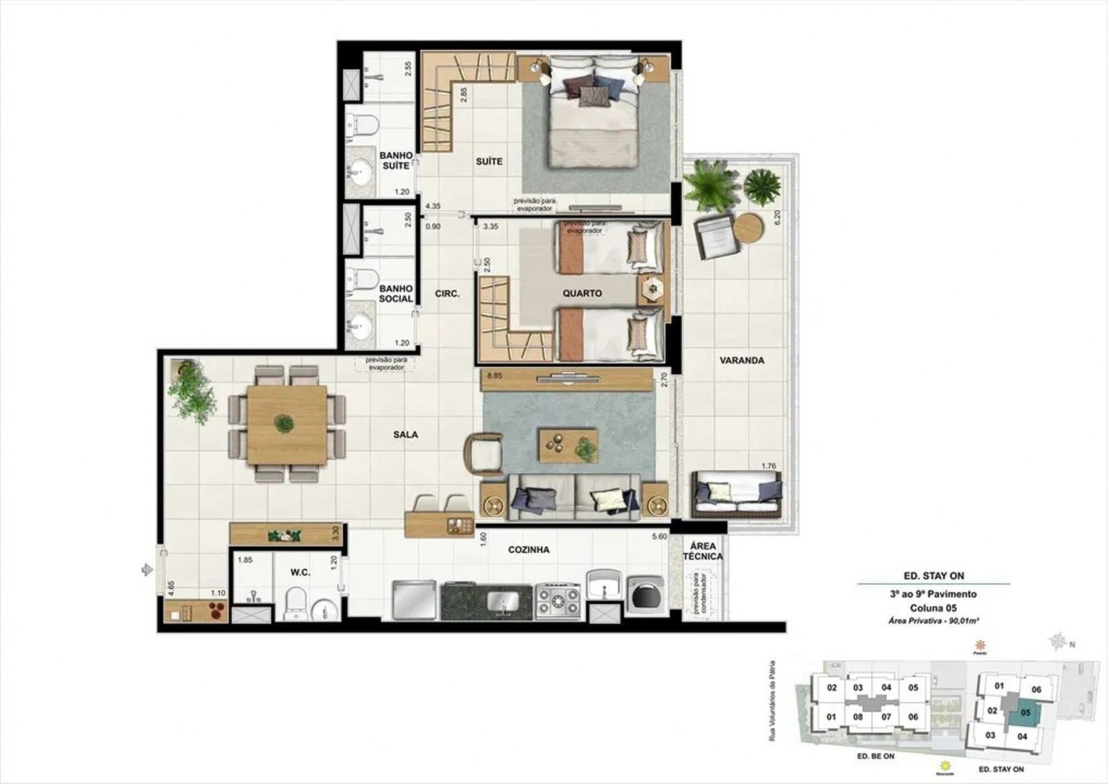 Planta 15