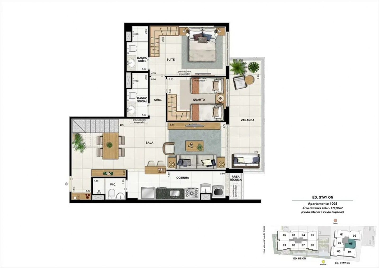 Planta 29
