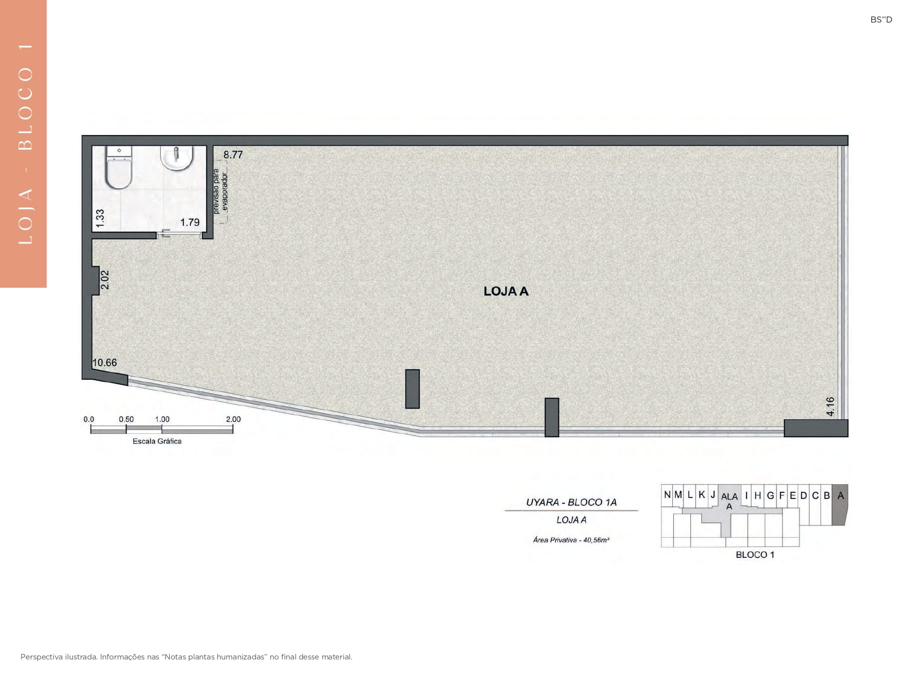 Planta 12