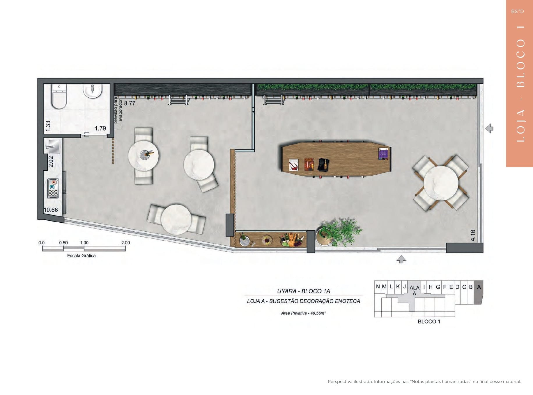 Planta 11