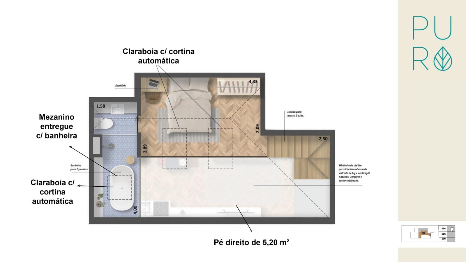 Planta 11