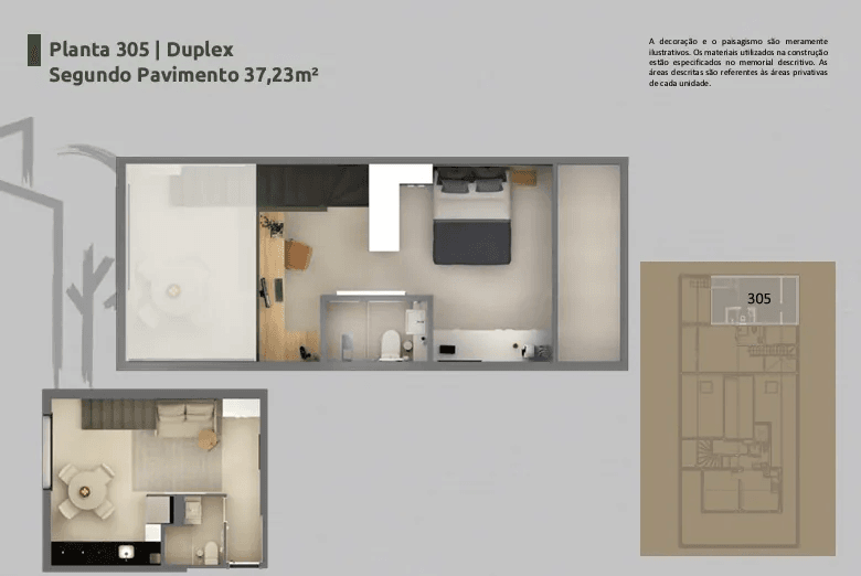 Planta 15