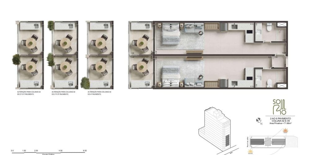 Planta 8