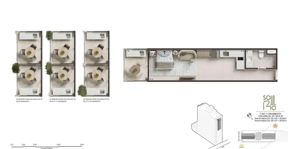 Planta 11