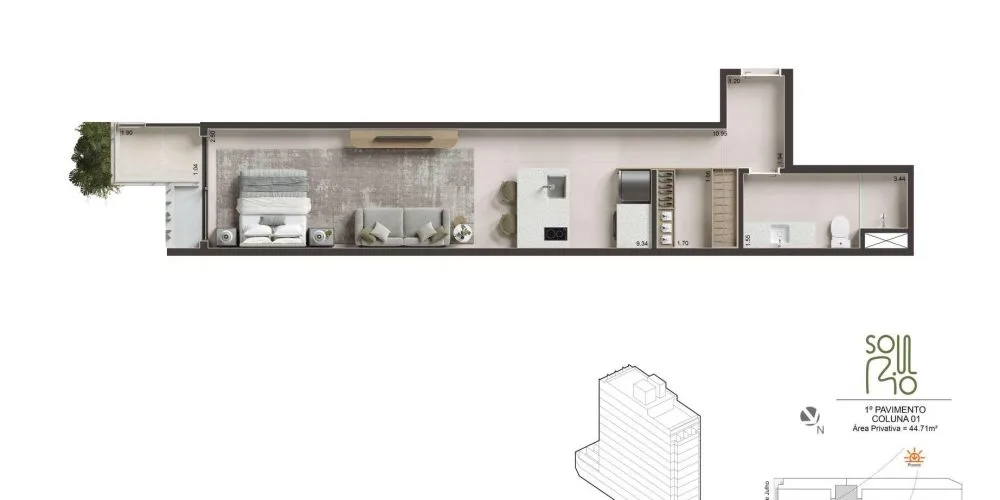Planta 17