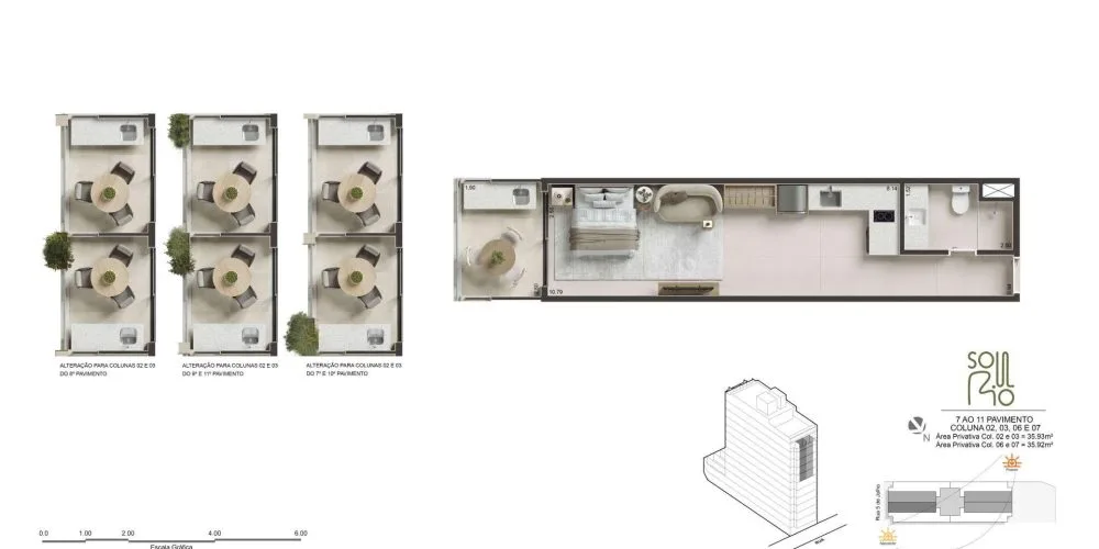 Planta 26