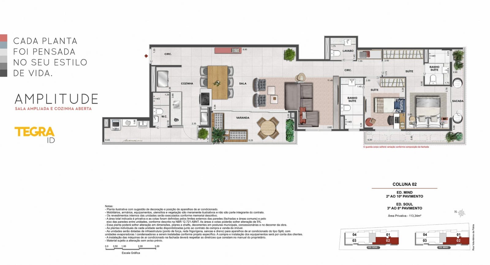 Planta 7