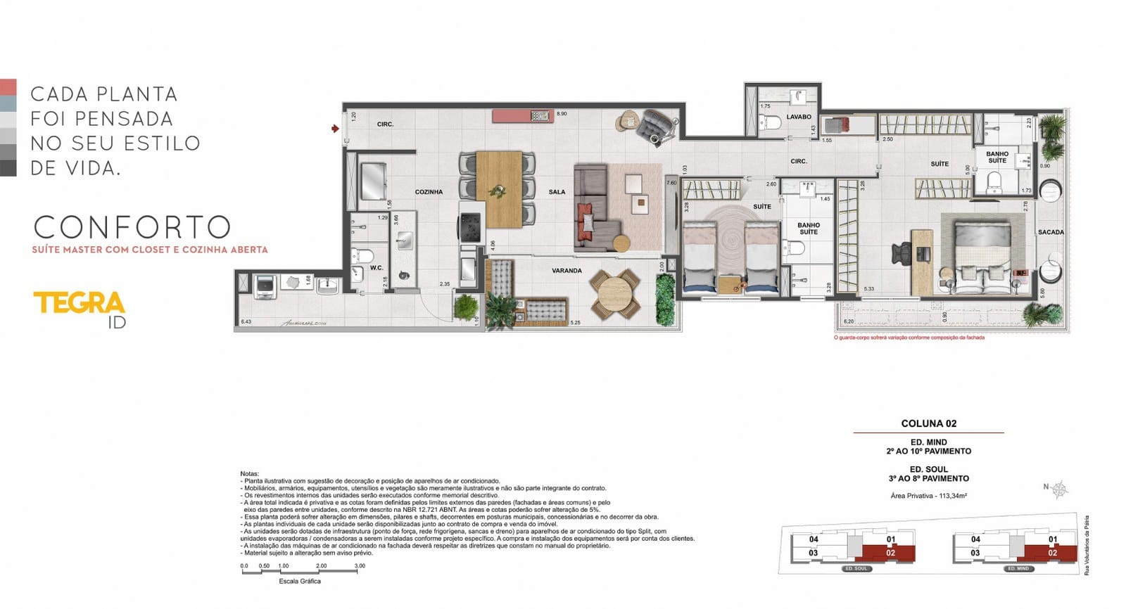 Planta 8