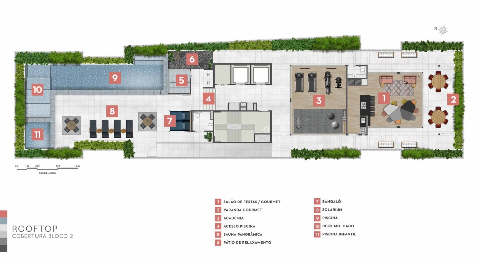 Planta 15
