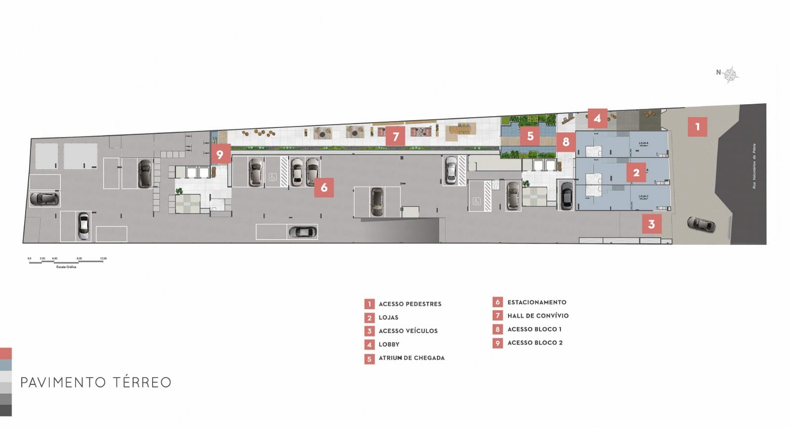 Planta 16