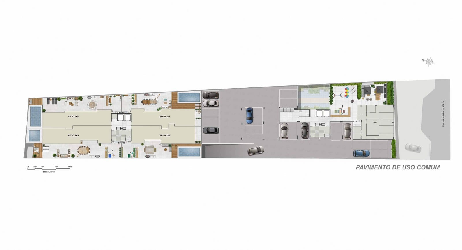 Planta 17