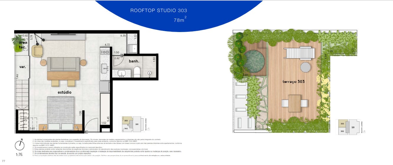Planta 5