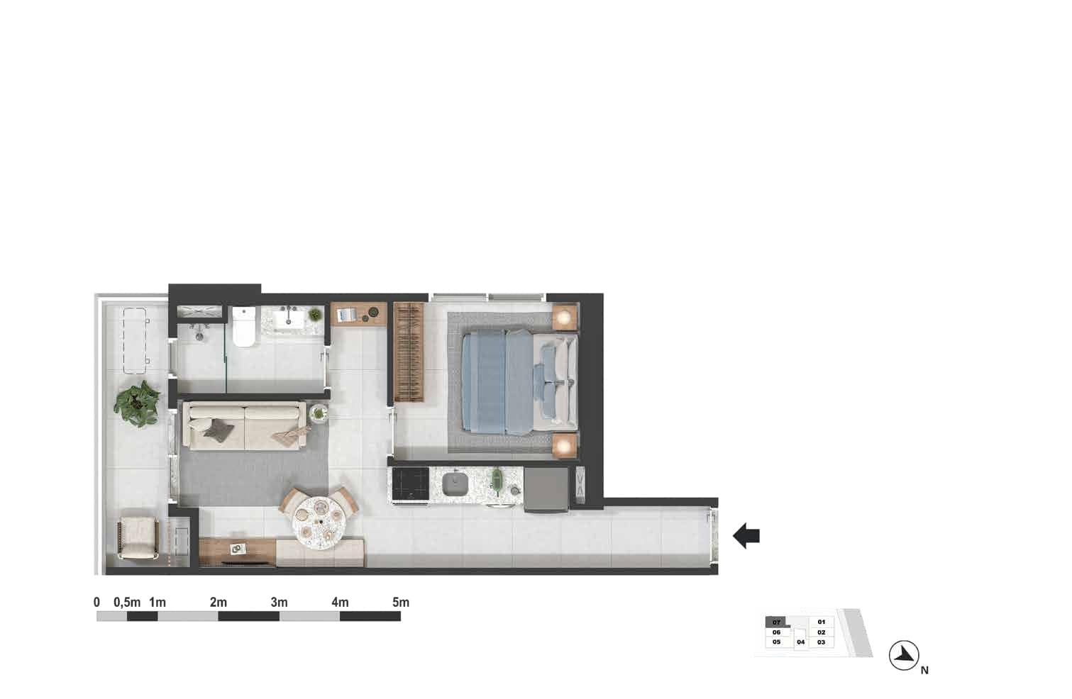 Planta 11
