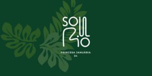 Morar perto do Aterro do Flamengo comprando na Rua Princesa Januária 34 Monza Soul Rio