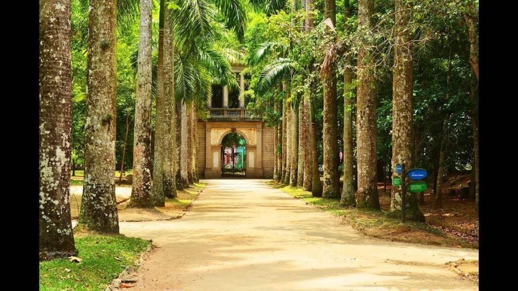 Casas em condomínio no Jardim Botânico Pré-lançamento Fator Realty nov 2025