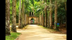 Pré-Lançamento em 2025 de casas da Fator Realty no Jardim Botânico