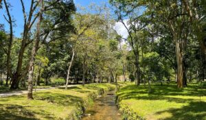 Vale a Pena Investir no Novo Condomínio de casas no Jardim Botânico Fator Realty 2025