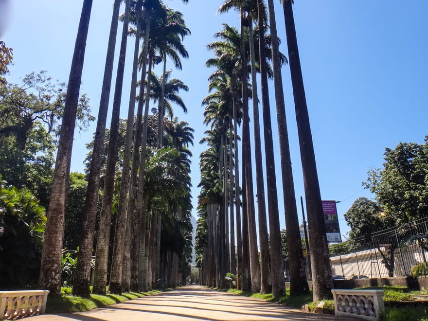Lotes exclusivos de casas no Jardim Botânico Fator Realty nov 2025